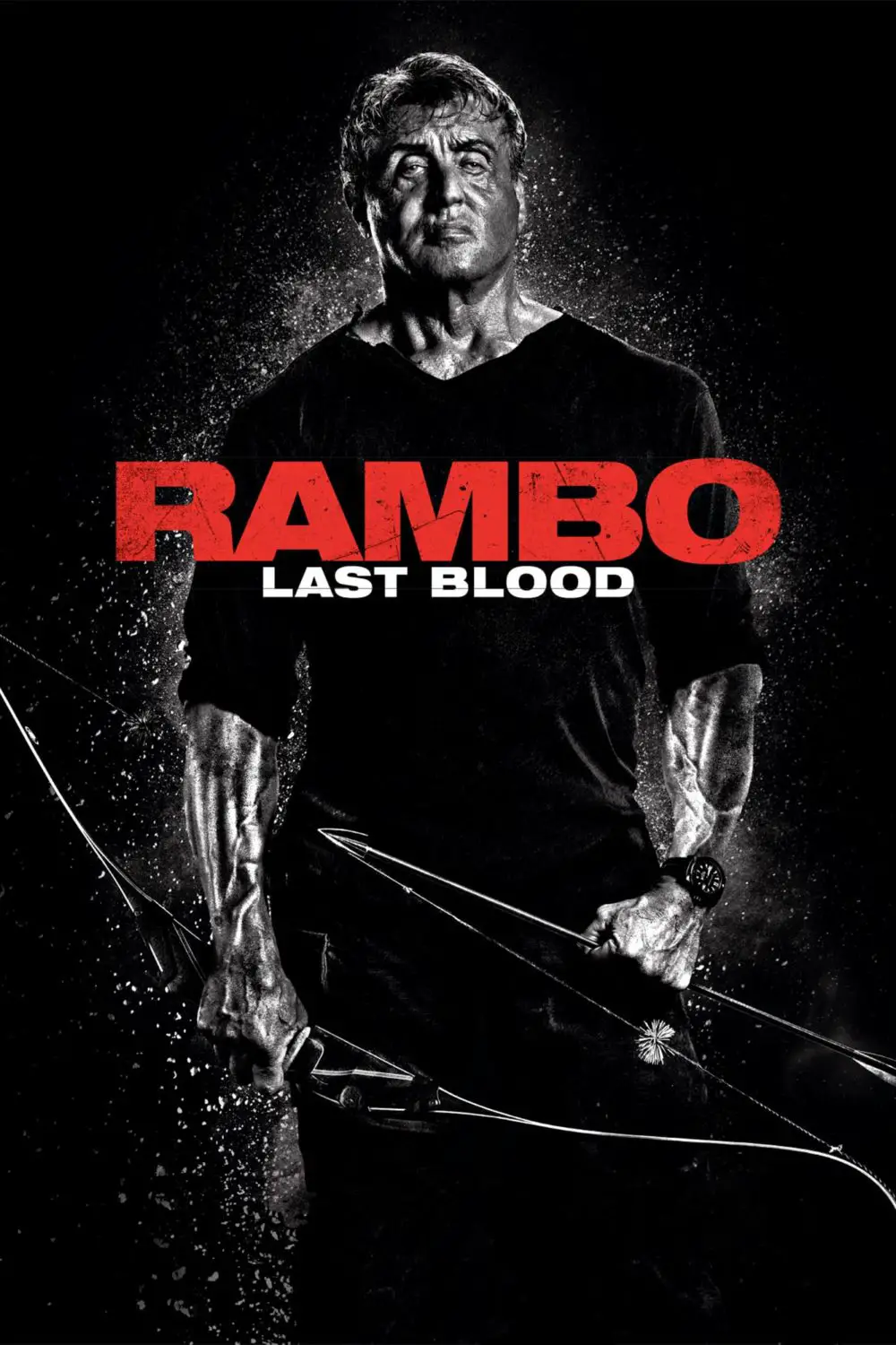 You are currently viewing Rambo: Last Blood