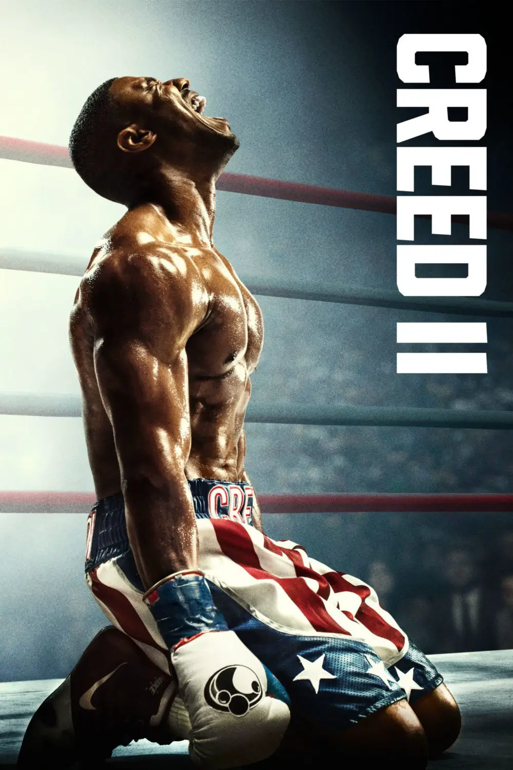 You are currently viewing Creed II