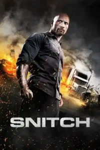 Poster for the movie "Snitch"